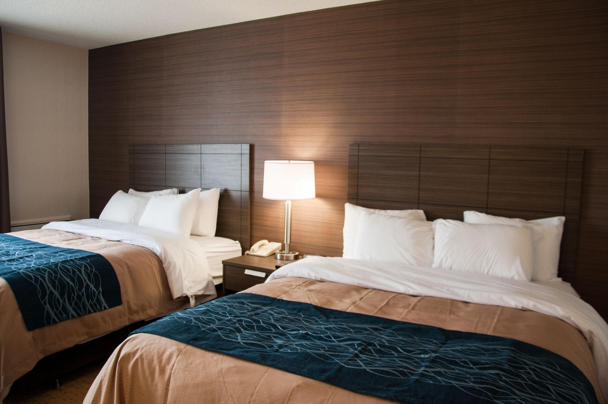 Comfort Inn Levis Luaran gambar