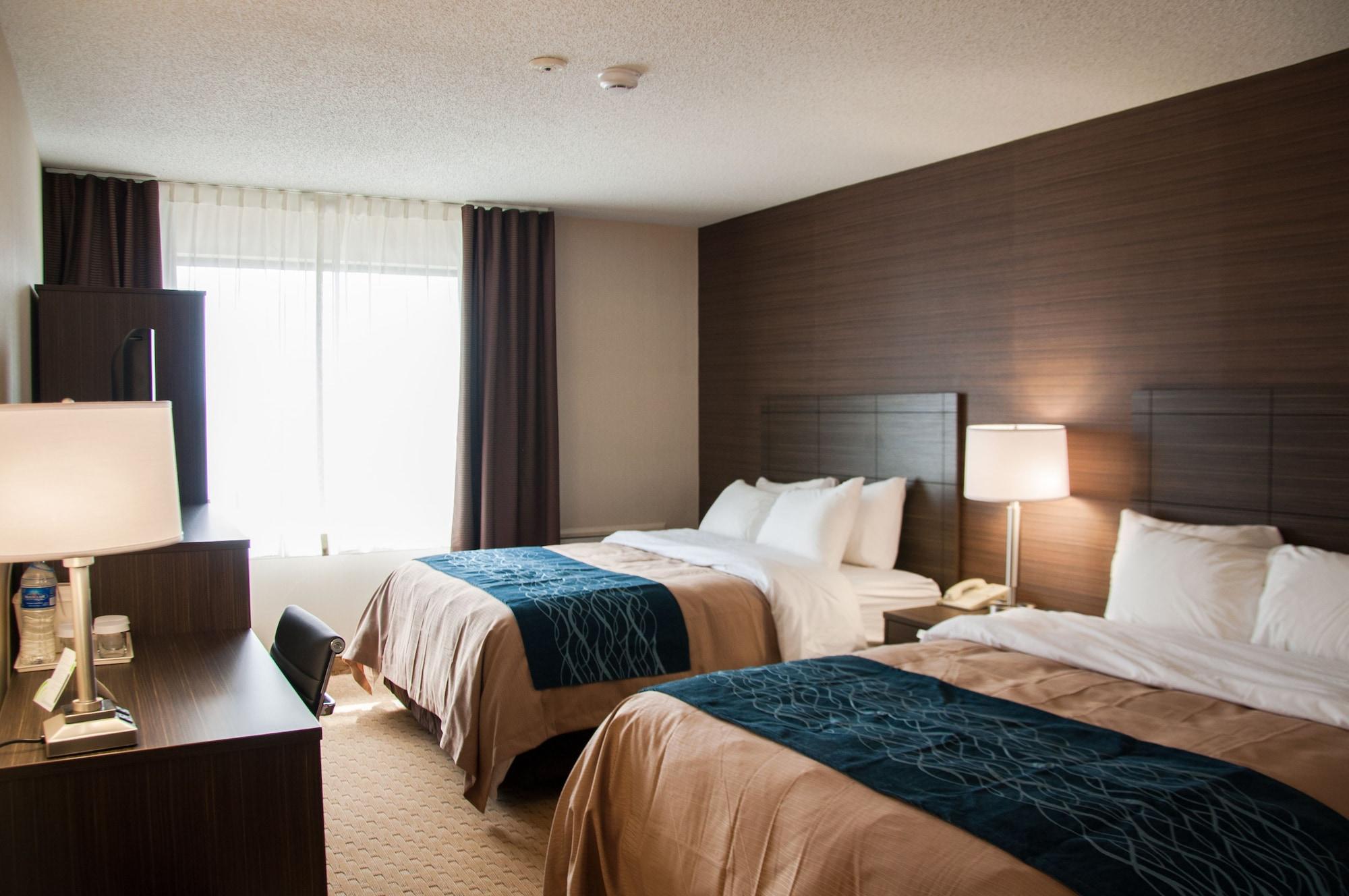 Comfort Inn Levis Luaran gambar