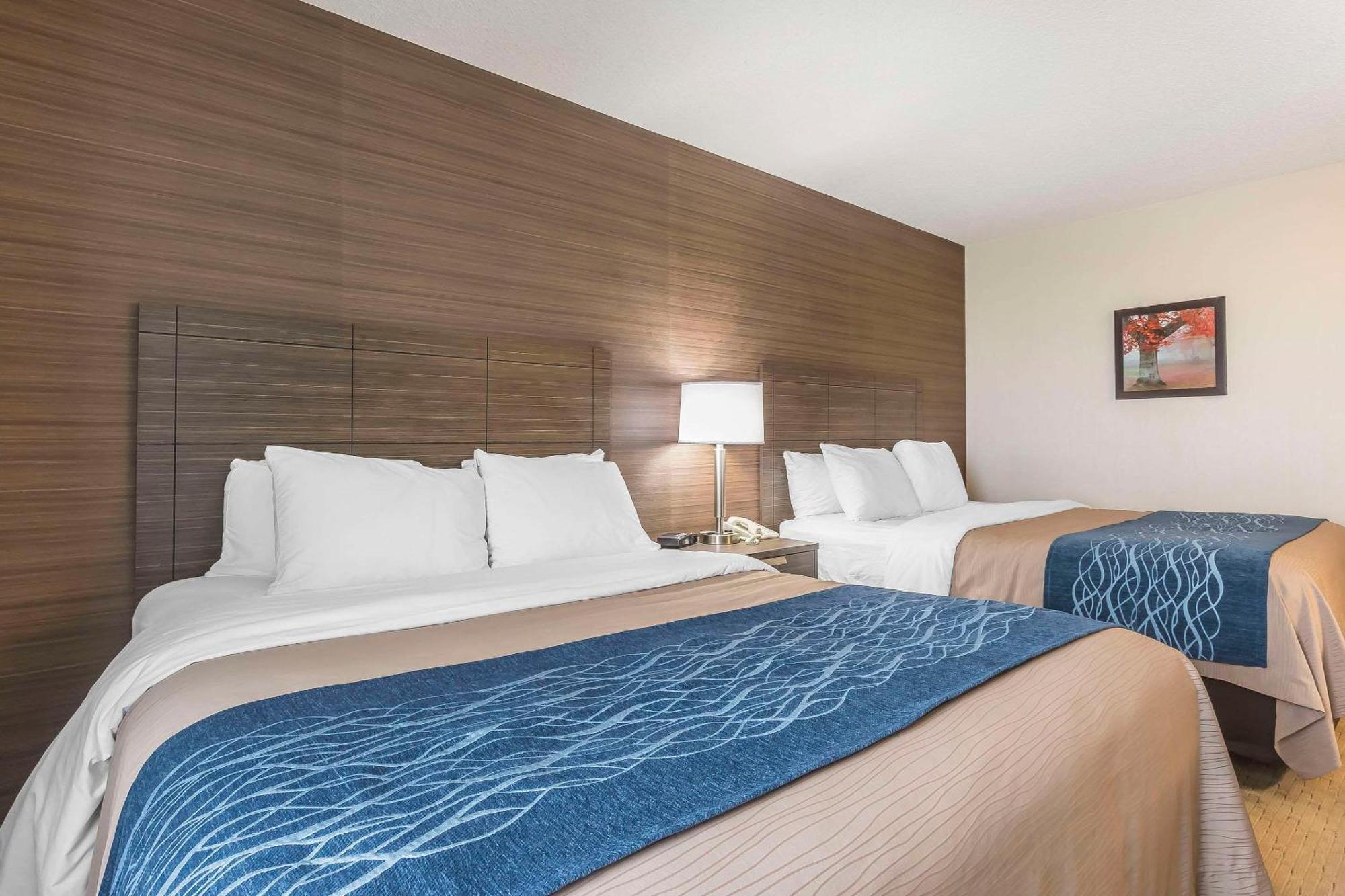 Comfort Inn Levis Luaran gambar
