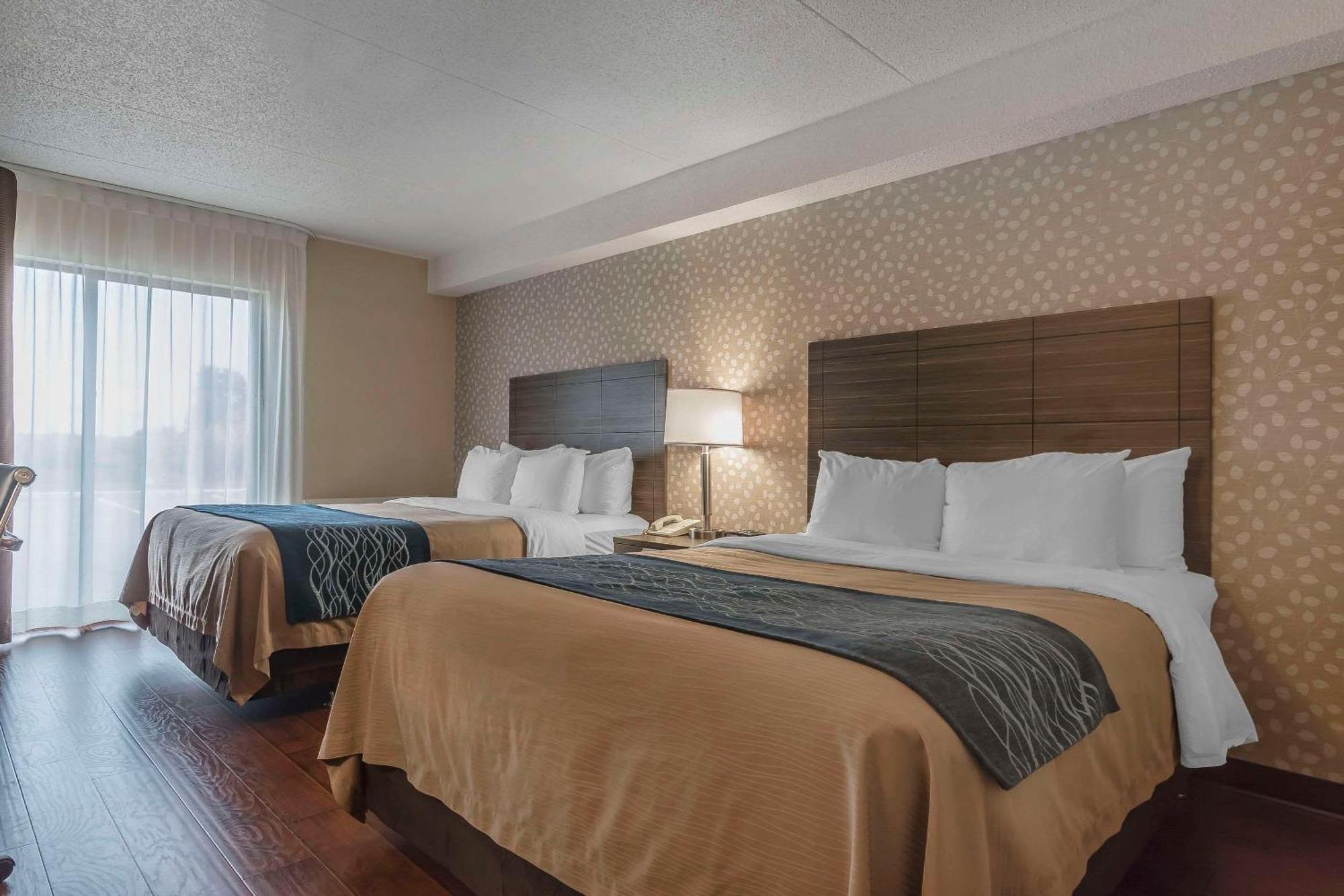 Comfort Inn Levis Luaran gambar