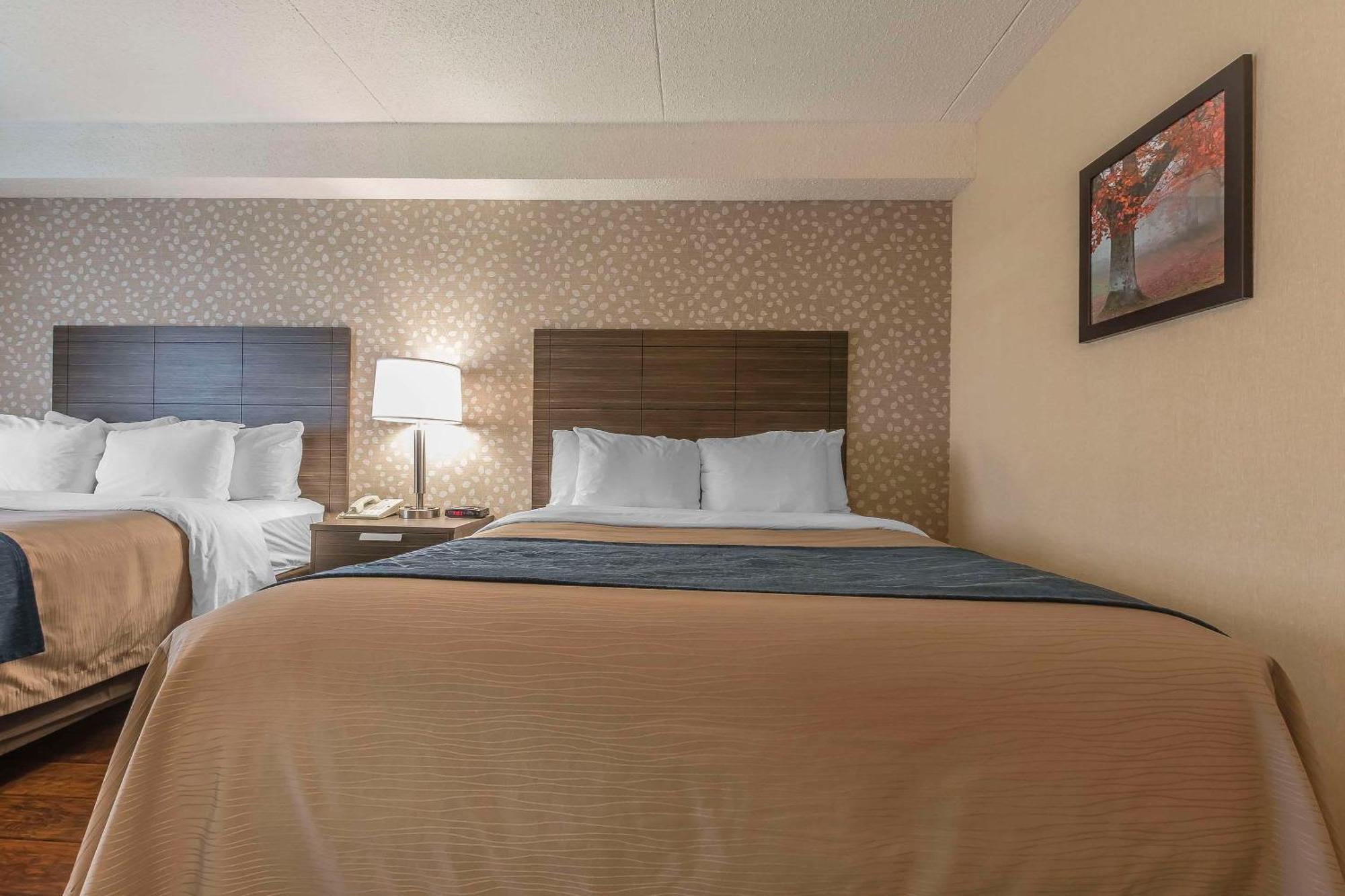 Comfort Inn Levis Luaran gambar