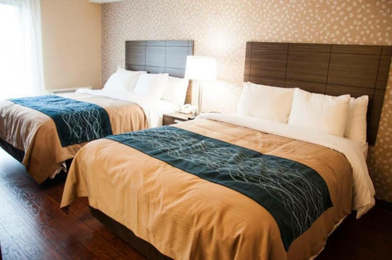 Comfort Inn Levis Luaran gambar