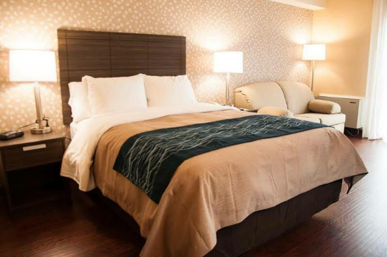 Comfort Inn Levis Luaran gambar