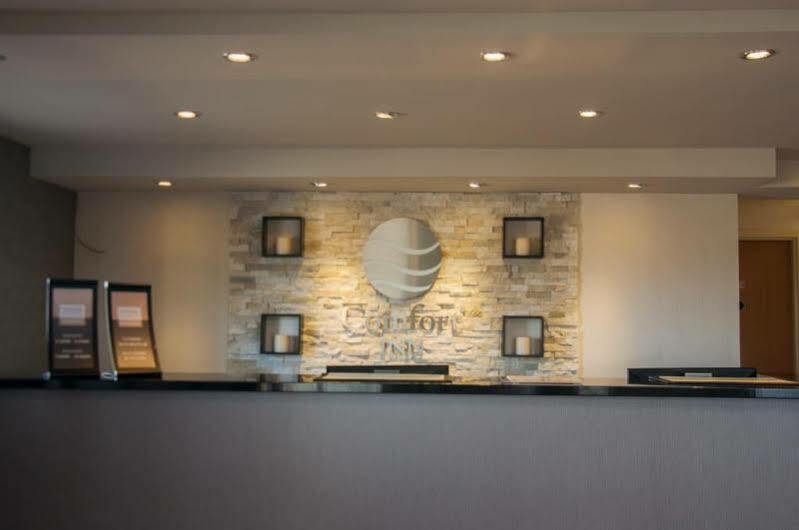 Comfort Inn Levis Luaran gambar